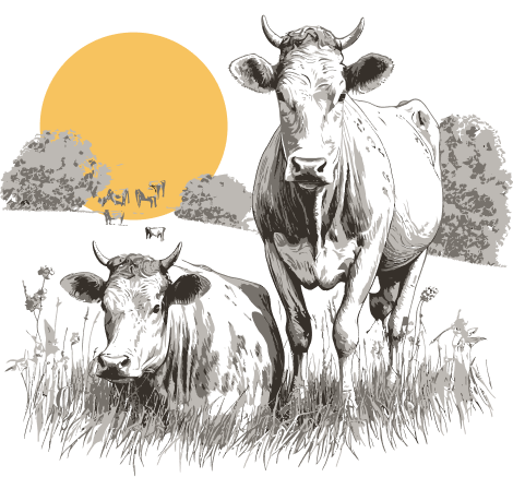 desenho de dois touros num campo